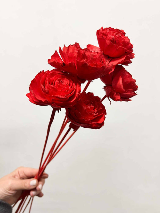 SOFIA » Mazzo di rose rosse ricostruite in fibra di manioca