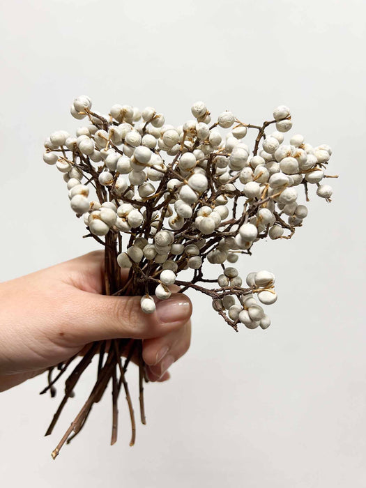 TIBERIO » Fascio di bacche naturali bianche piccolo