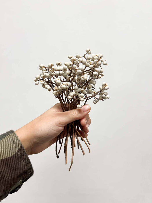 TIBERIO » Fascio di bacche naturali bianche piccolo