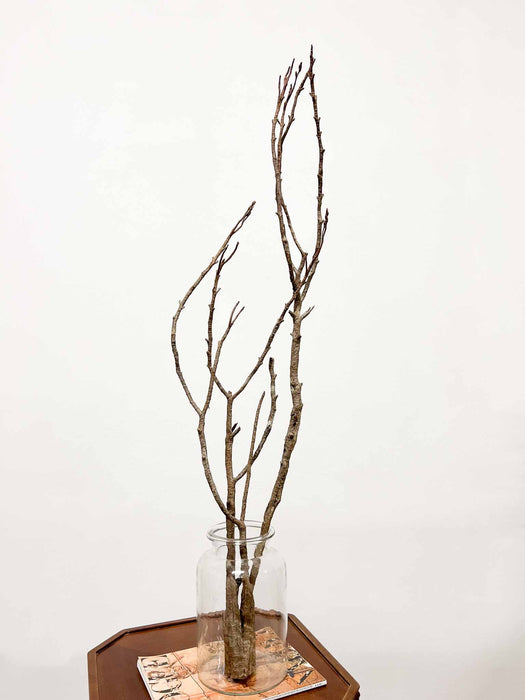 JHAR » Ramo ramificato Willow naturale 100cm