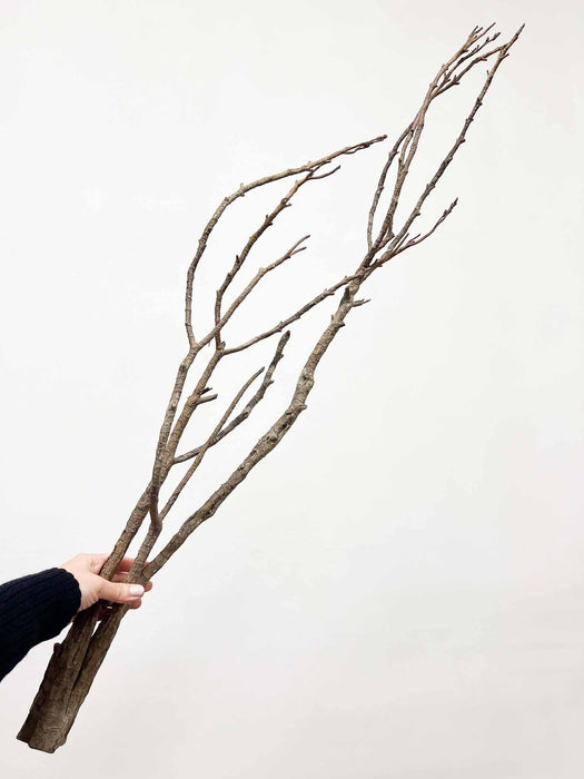 JHAR » Ramo ramificato Willow naturale 100cm