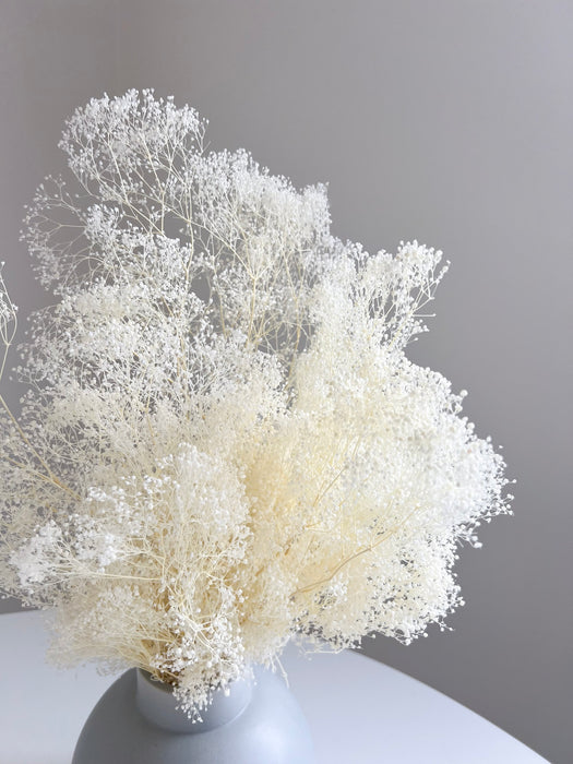 CHIARA » Mazzo di Gypsophila stabilizzata mini bianca