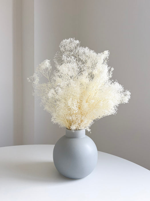 CHIARA » Mazzo di Gypsophila stabilizzata mini bianca