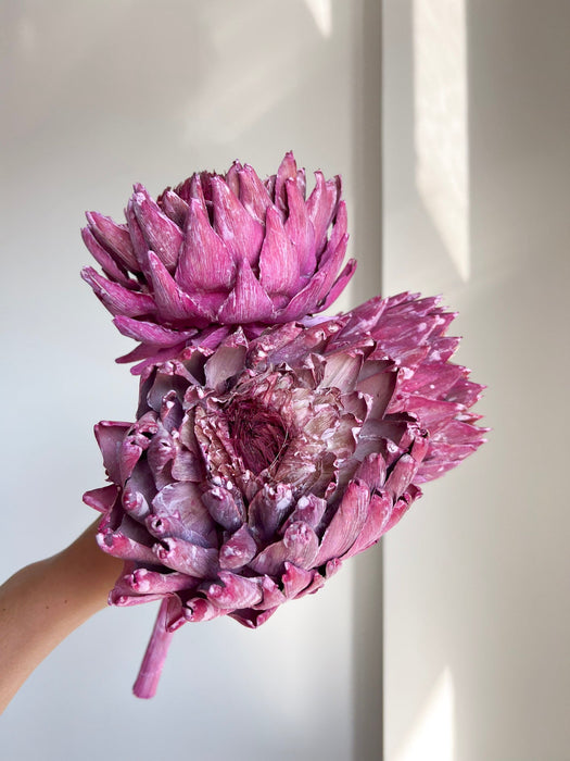 DIONISIA » 3 Carciofi extra grandi essiccati fucsia