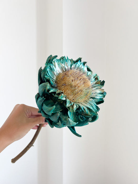 DOMINIQUE » fiore di carciofo grande aperto teal