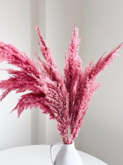 DOMITILLA » Pampas piccola rosa H70cm