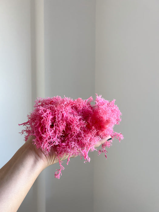 DORA » Preserved pink Nordic Moss 200gr