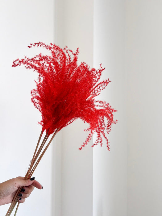 DYLAN » mazzo di miscanthus corallo