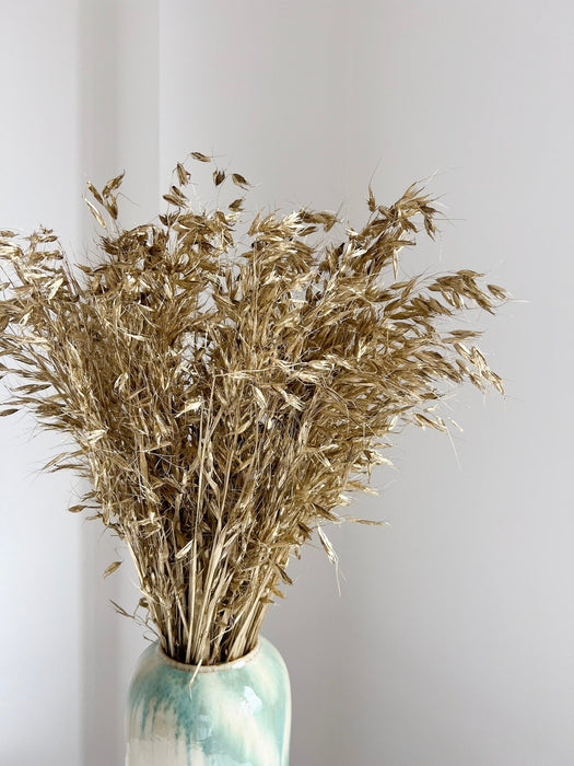 ELIOR » Mazzo di Avena selvatica essiccata oro