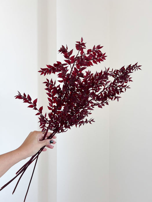 ENNIO » Ruscus stabilizzato bordeaux