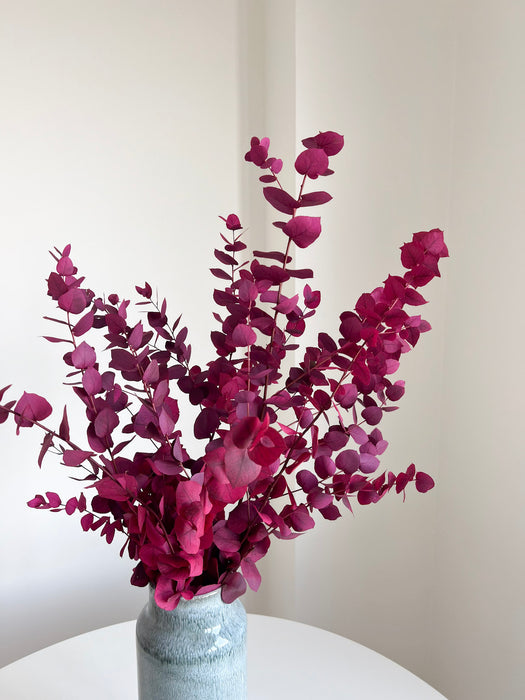 EUGENIA » Mazzo di Eucalipto Stuartiana stabilizzato rosa scuro