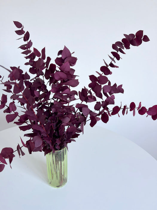 EUGENIA » Mazzo di Eucalipto Stuartiana stabilizzato rosa scuro