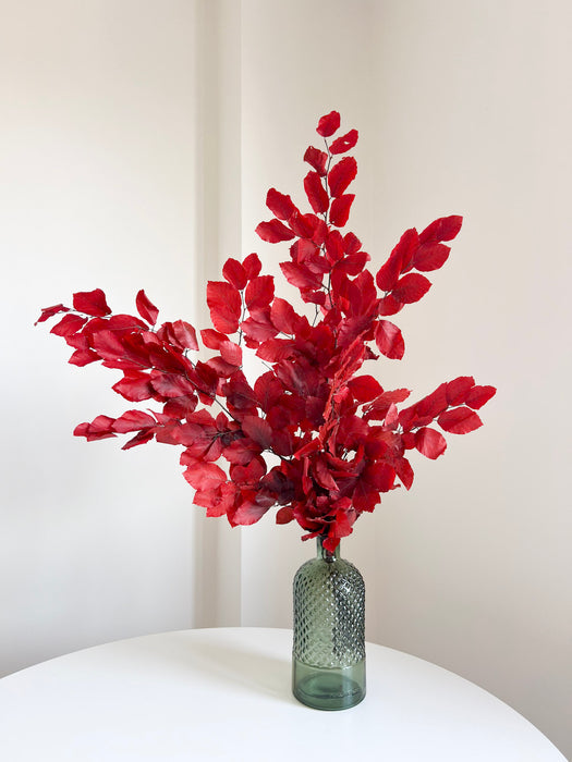 FAYA » Bundle of preserved Beech