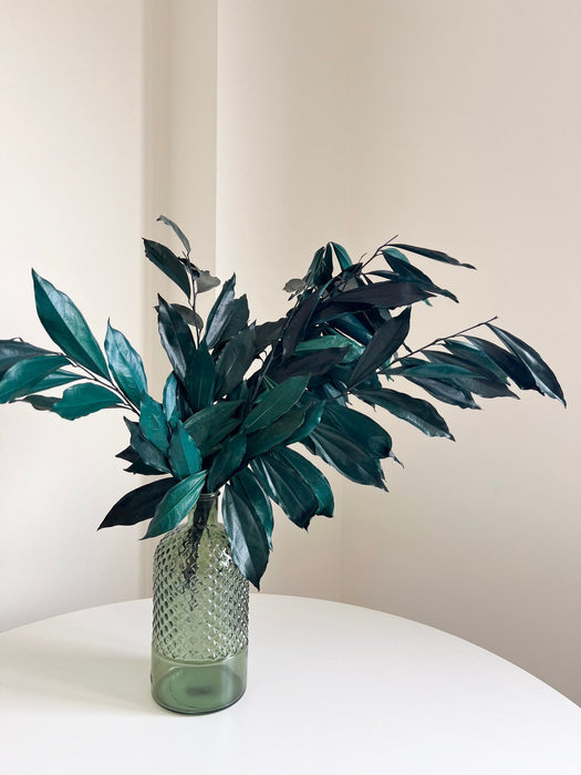 FLORIO » Cocculus stabilizzato verde/blu H70cm