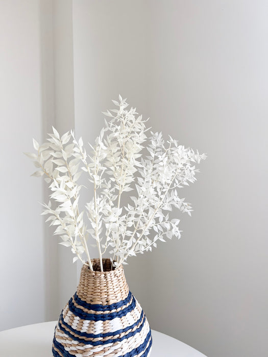 GERMANO » Preserved white Ruscus