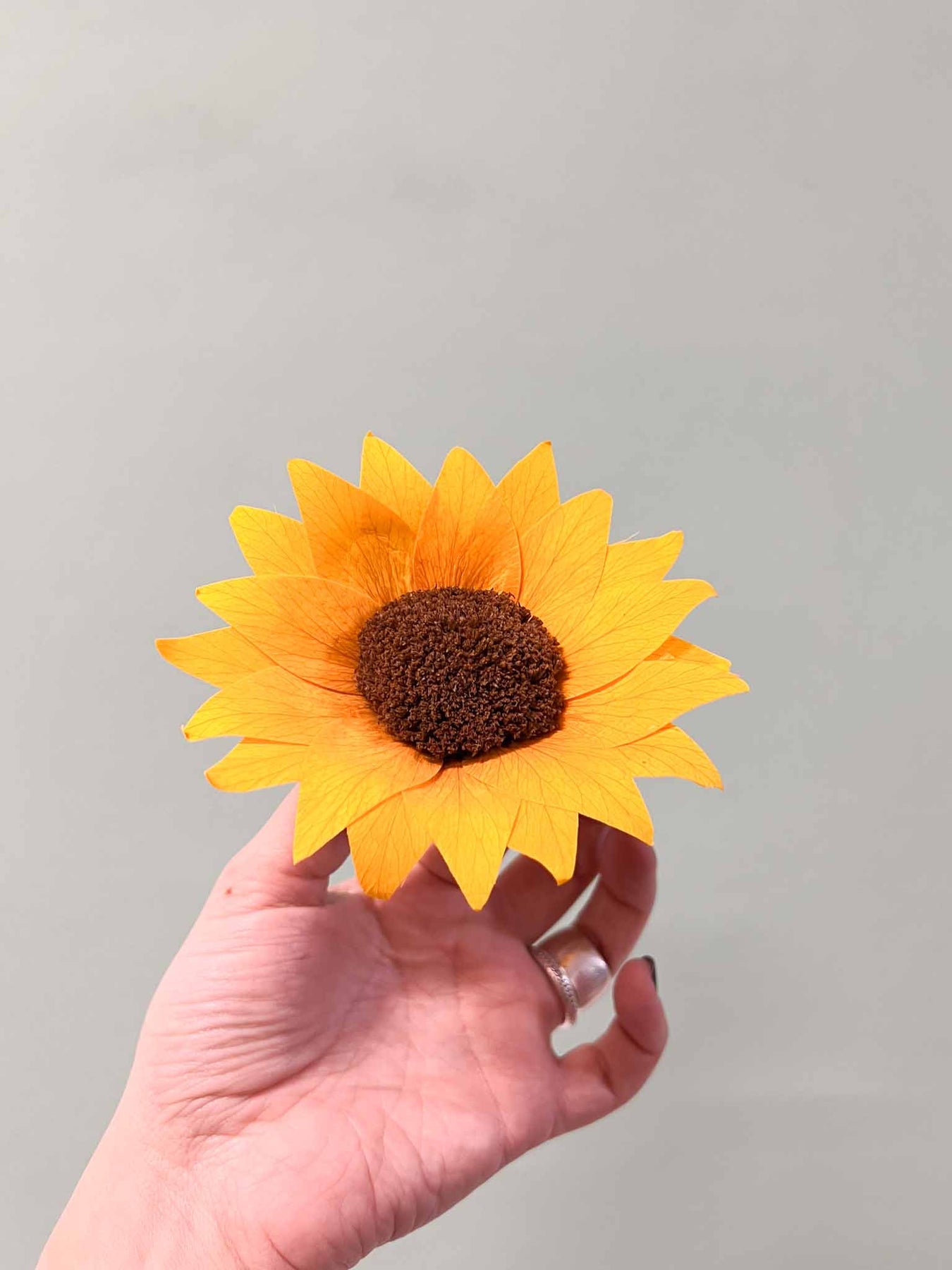 Girasole