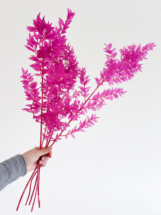 GIULIA » Ruscus stabilizzato ciclamino