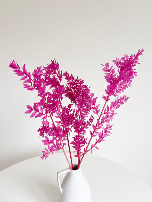 GIULIA » Ruscus stabilizzato ciclamino