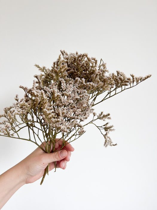 GOFFREDO » Tartarica naturale essiccata