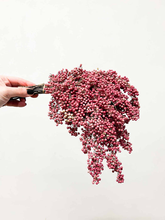 SERAFINO » Dried pink Pepper bouquet