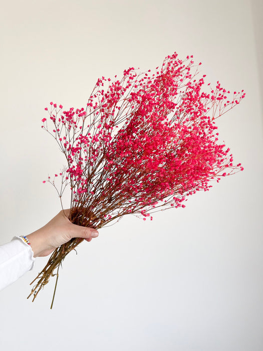 LOLITA » Mazzo di Gypsophila stabilizzata fucsia