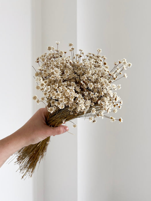 ILARIA » Mazzo di fiori di Glixia naturale