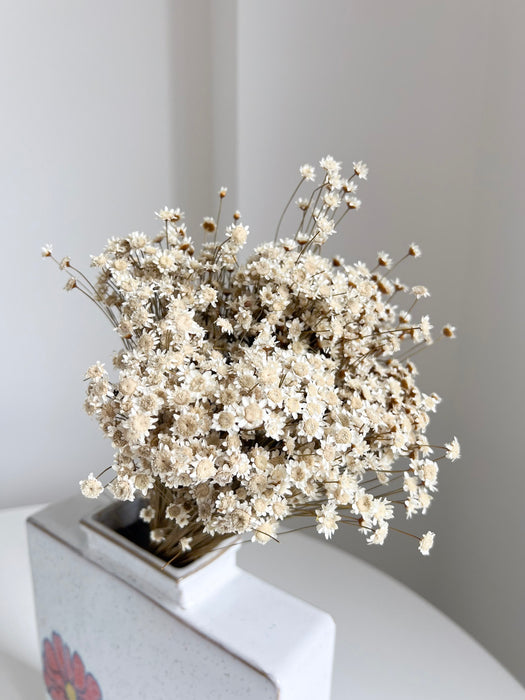 ILARIA » Mazzo di fiori di Glixia naturale