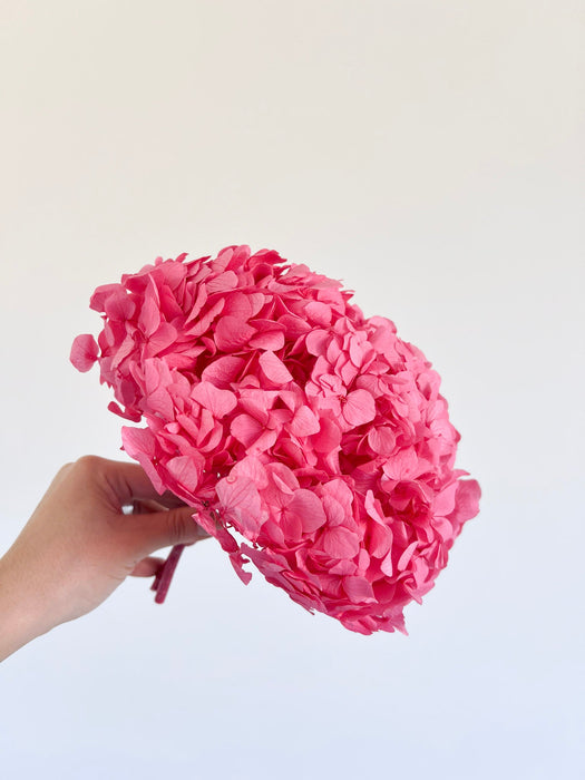 MILLY » Ortensia stabilizzata premium candy pink