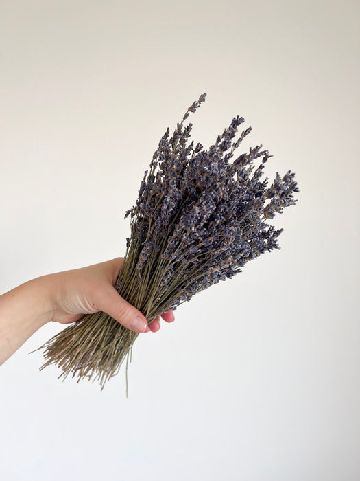 LAURA » Lavanda naturale
