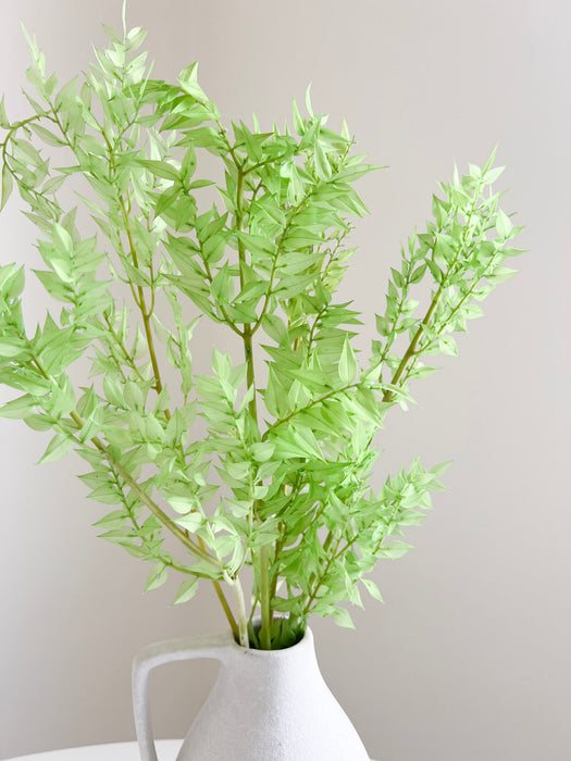 MALIKA » Light lime green preserved Ruscus