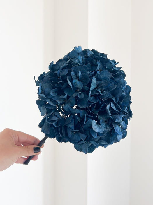 MARCELLA » Ortensia stabilizzata blu