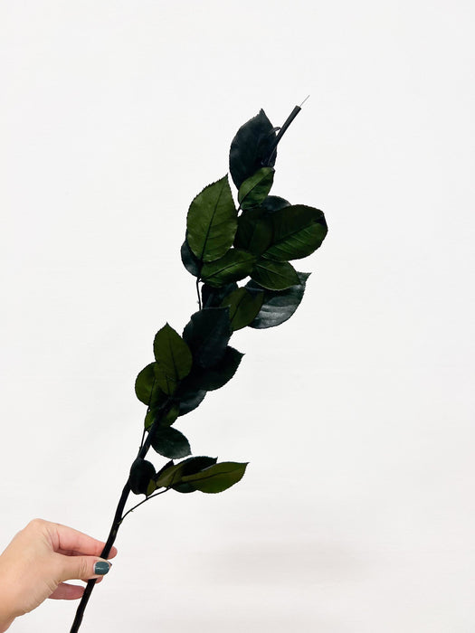 MARICONDO » stelo di rosa stabilizzato verde H65cm