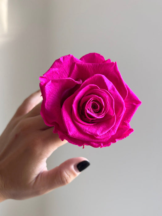 MIRIANA » Box da 6 fiori di Rosa fucsia diametro 6,5cm standard