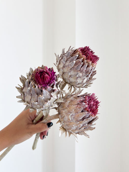 NICOLE » Mazzo da tre fiori di Carciofo bianco e viola