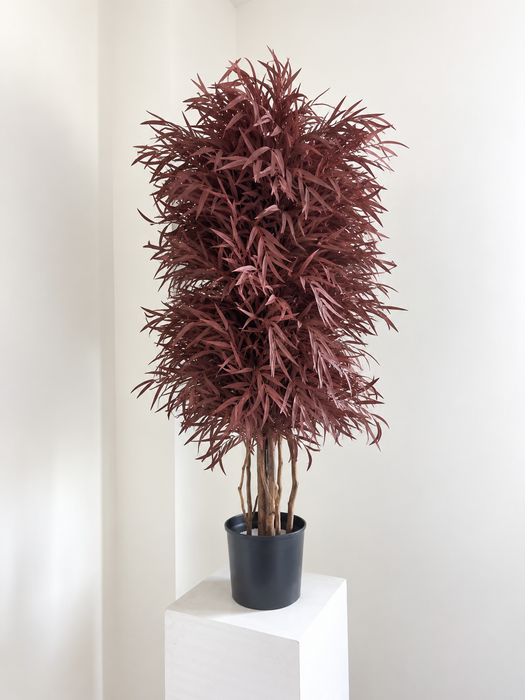 NICOLYNA » pianta stabilizzata di eucalipto nicoli rosso scuro H130cm