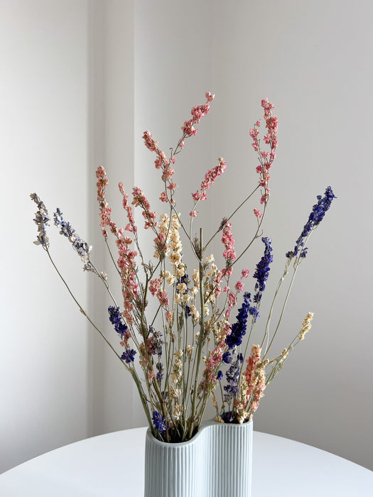 OTTAVIANO » mazzo di fiori di delphinium naturale essiccato