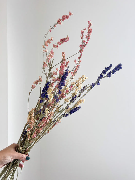 OTTAVIANO » mazzo di fiori di delphinium naturale essiccato