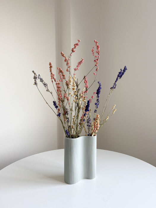 OTTAVIANO » mazzo di fiori di delphinium naturale essiccato