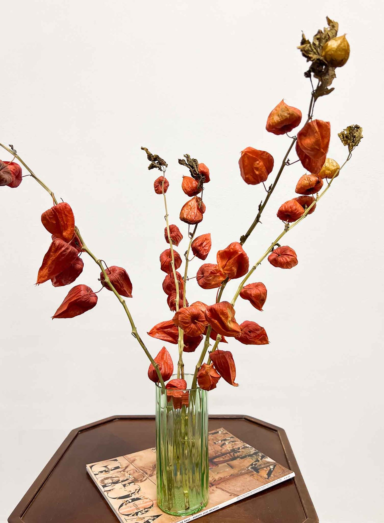 Physalis