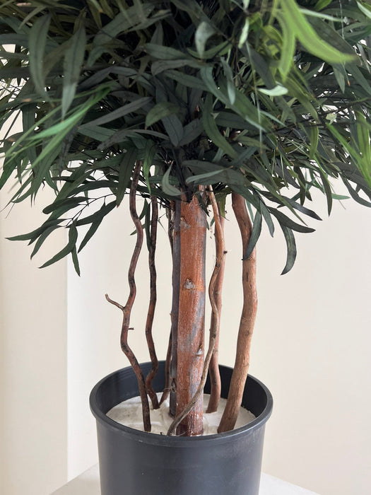 FOREST » pianta stabilizzata di eucalipto nicoli verde H130cm