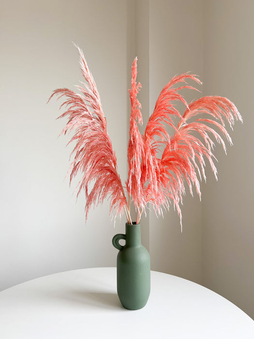 DUCCIO » Pampas stabilizzata piccola rosa chiaro H70cm