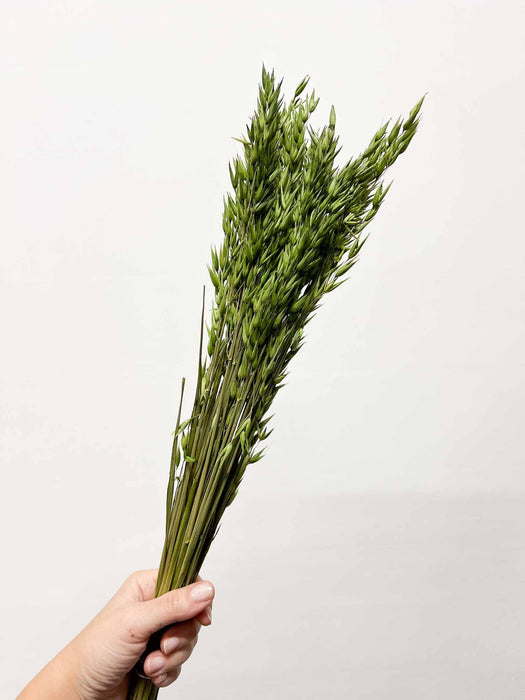 RANIA » Mazzo per bouquet di fiori secchi misti verde mela