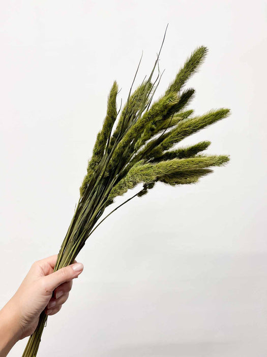 RANIA » Mazzo per bouquet di fiori secchi misti verde mela