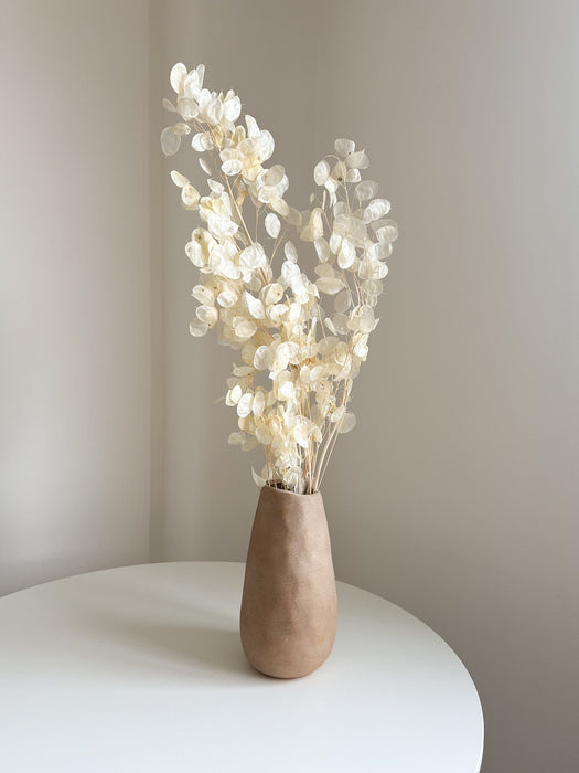 REMO » Mazzo di Lunaria o monete del papa avorio H100cm
