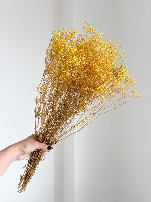 SAMUELA » Mazzo di Gypsophila stabilizzata gialla