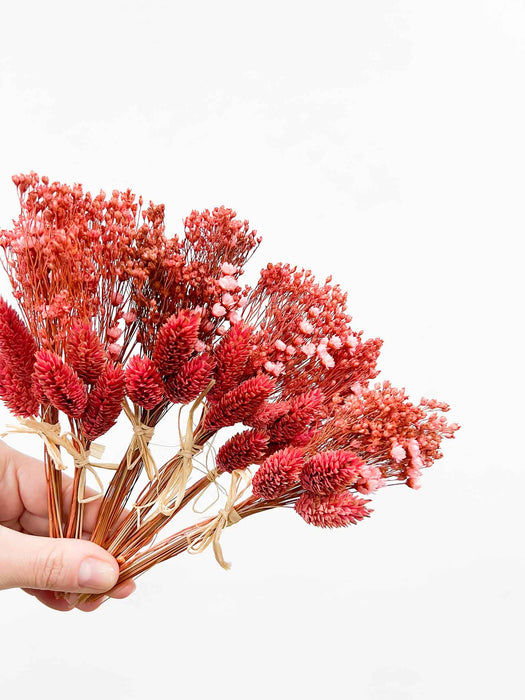VIRGINIA » 6 segnaposto di fiori secchi rosa