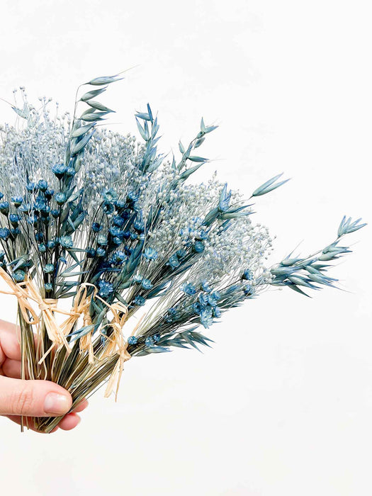 CELESTINO » 6 segnaposto di fiori secchi celeste