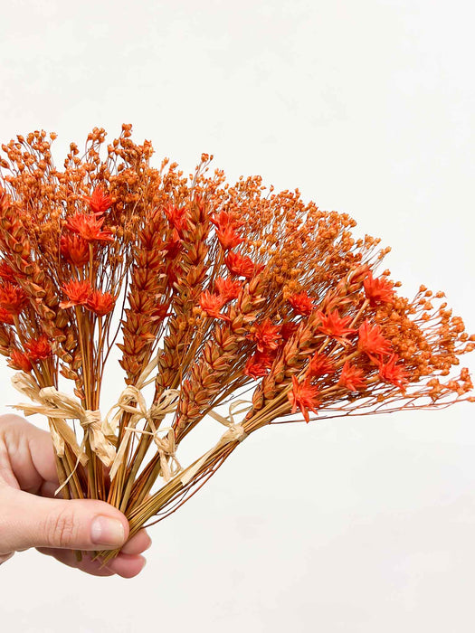 MILO » 6 segnaposto di fiori secchi arancio
