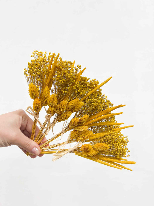 ASCANIO » 6 segnaposto di fiori secchi giallo