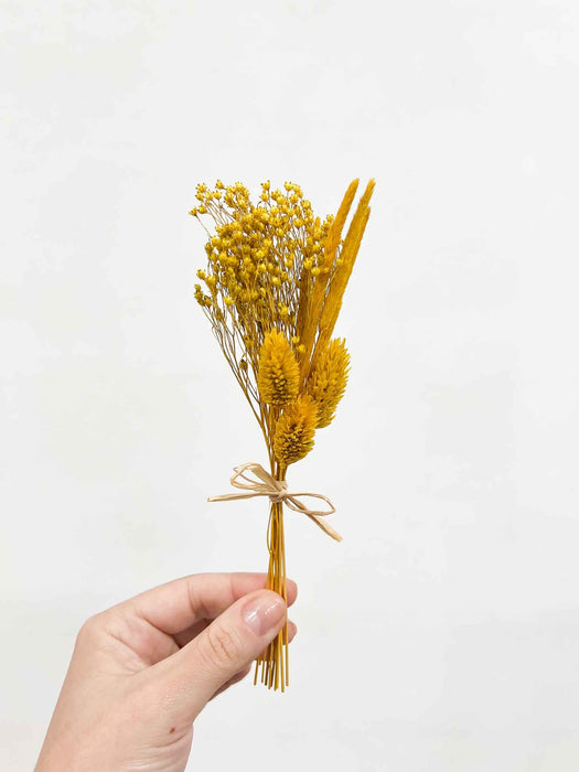 ASCANIO » 6 segnaposto di fiori secchi giallo